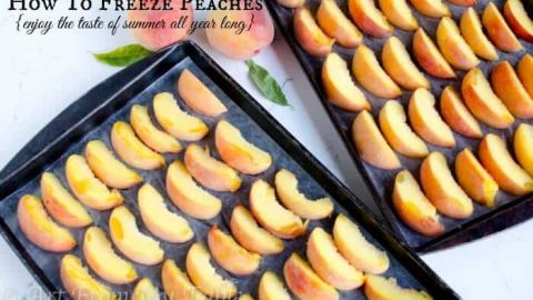 Freezing Peaches - How To Freeze Peaches With Fruit Fresh Creative Homemaking / This step will keep the peaches from clumping together in the freezer.