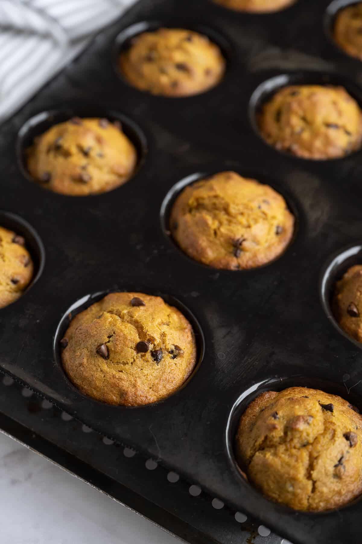 Freshly baked Pumpkin Muffins with Chocolate Chips still in the pan.
