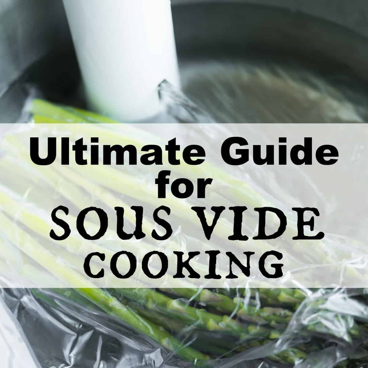 An introductory guide to sous vide cooking
