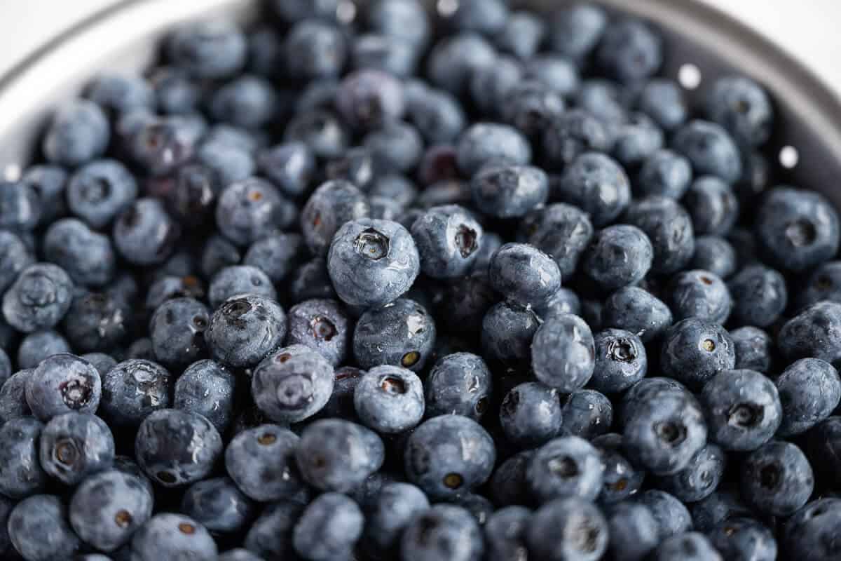 Colander full of big, fresh, ripe blueberries.