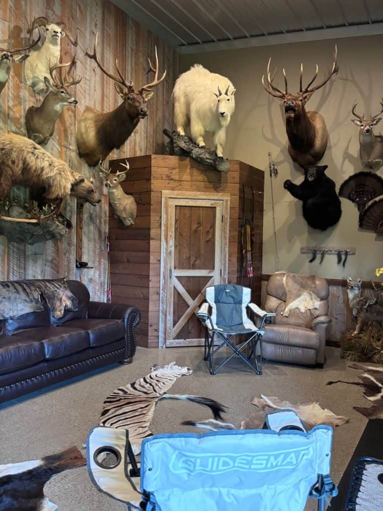 A room with loads of mounted safari animals, animal hides on the floor as rugs.