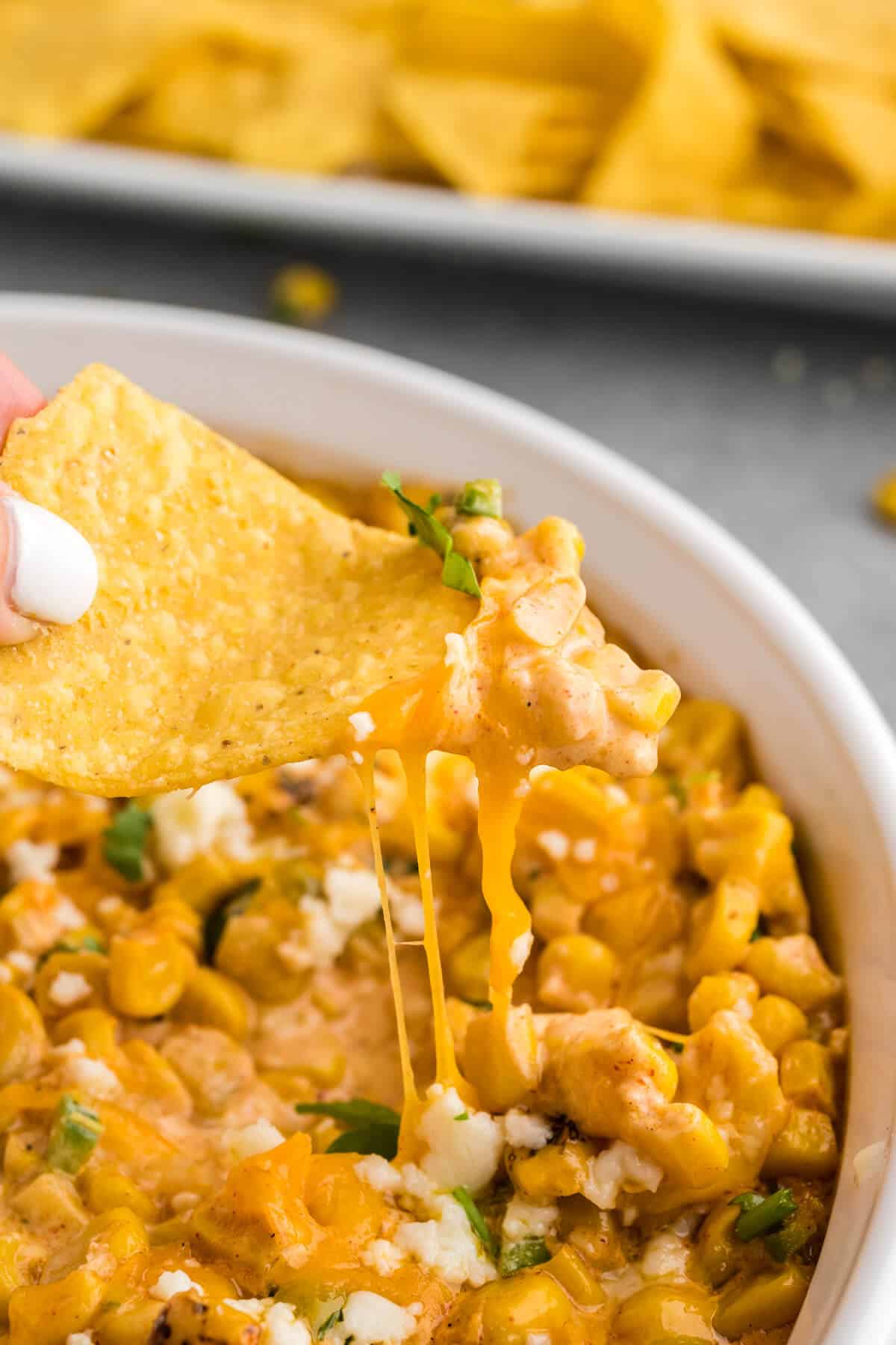 A tortilla chip with hot street corn dip on it being lifted out of the bowl of dip, stringy melted cheese is hanging off of the chip.